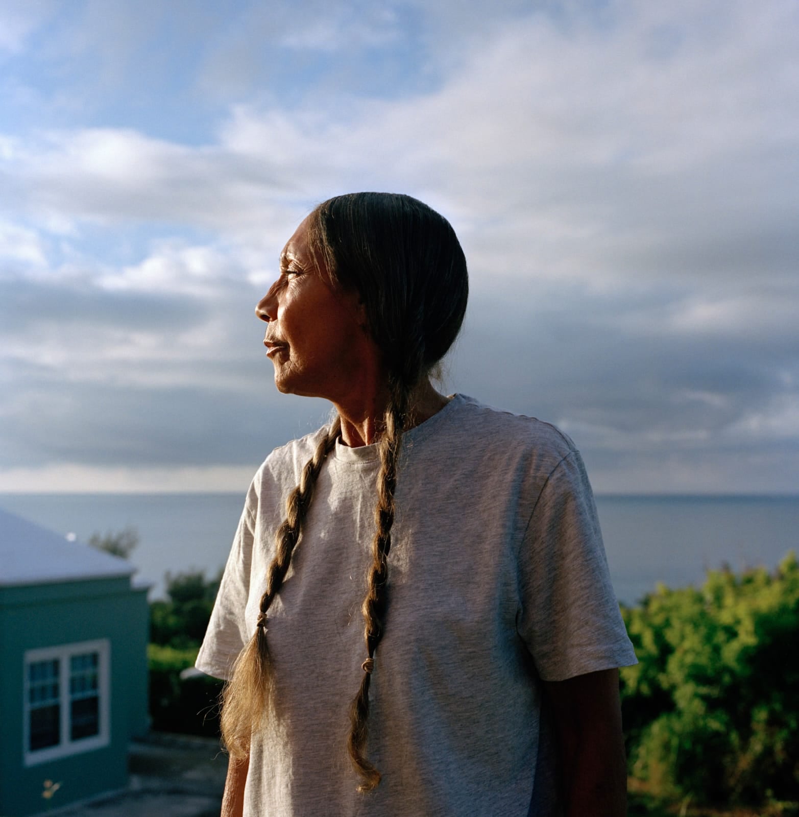 Descendants Of Summer © Nicola Muirhead